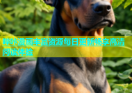 哔咔漫画丰富资源每日更新畅享高清阅读体验